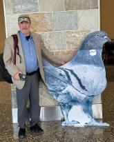 Matthew Bell standing next to a supersized cardboard pigeon
