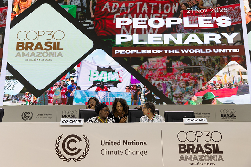 Members of civil society during the People’s Plenary (Photo: UN Climate Change - Kiara Worth)