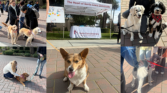 The CAS Student Engagement Team hosted a You Got This! event during week 10 of Fall quarter.