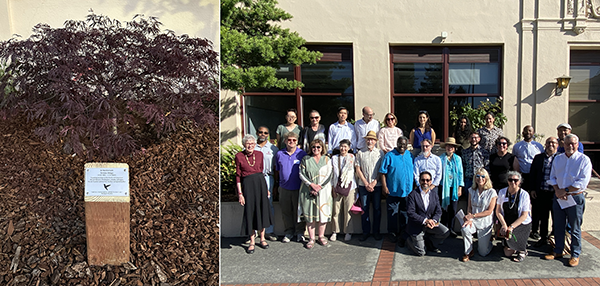 Teresia Hinga tree and plaque next to faculty gathered to honor her.