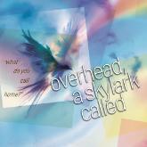 Bird silhouetted on a fractured rainbow background with text 