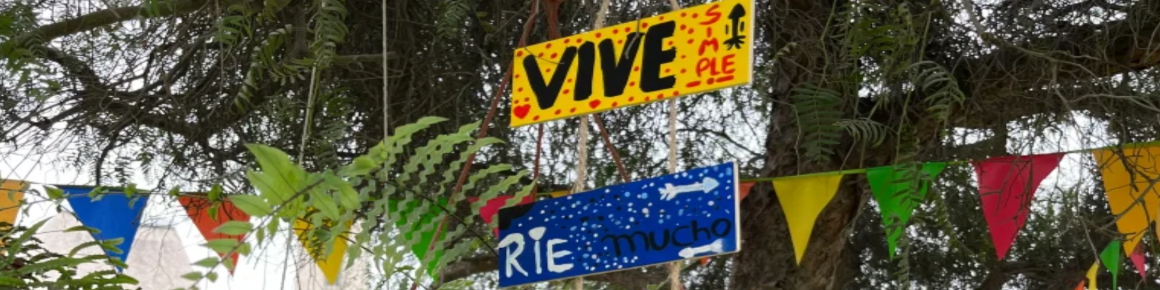 Sign Vive from Lima Peru