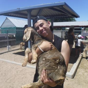 Arizona Goats
