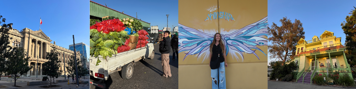 Chile and Los ANgeles Images from JDF+