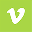 Vimeo icon