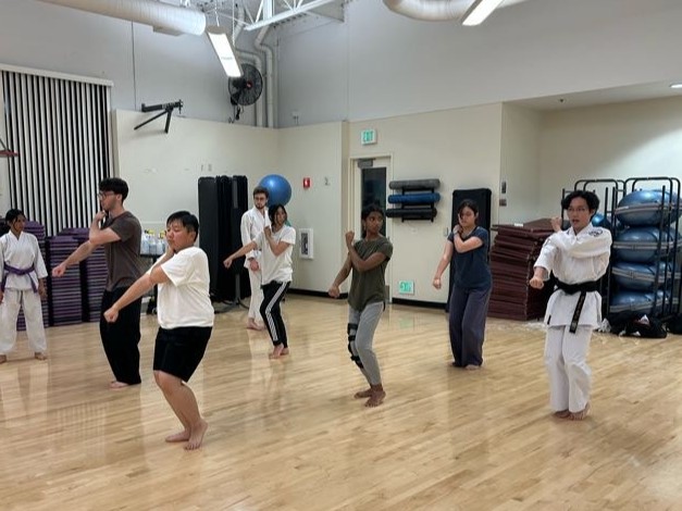 Shotokan Karate practice