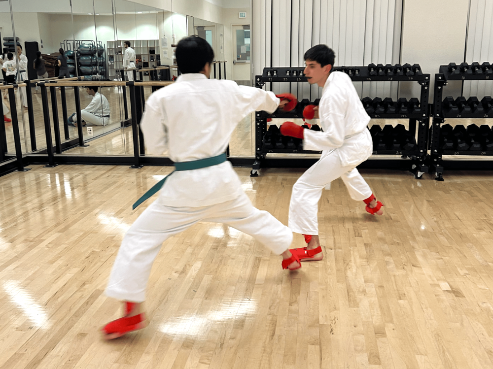 Ryan S and John M Sparring