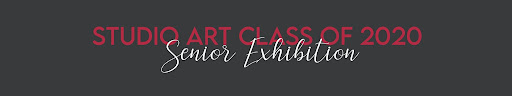 2020 Senior Show