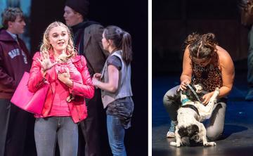 A theatrical scene from Legally Blonde, with actors and a dog on stage. 