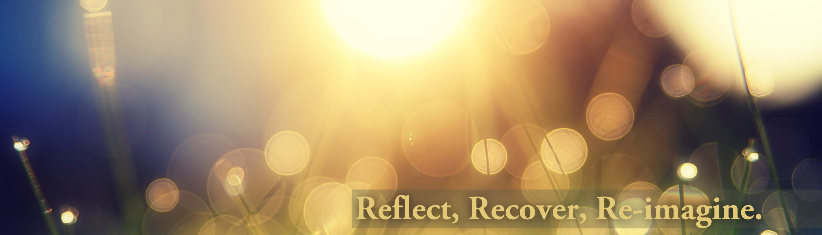 2020-21 Annual Report Cover Sunshine reflected through morning dewdrops on blades of grass. Overlay with the words Reflect, Recover, Re-imagine