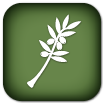 Icon of a white branch with leaves on a green background.