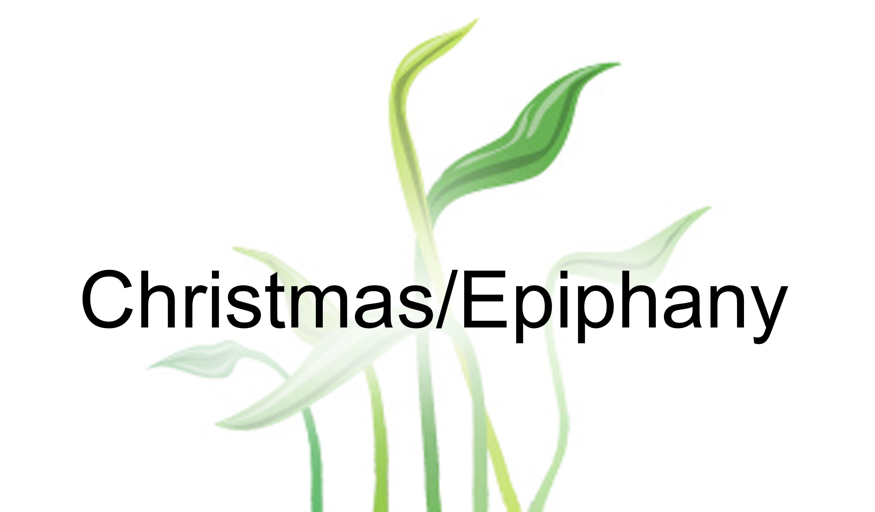 Christmas/Epiphany text with a green plant background.