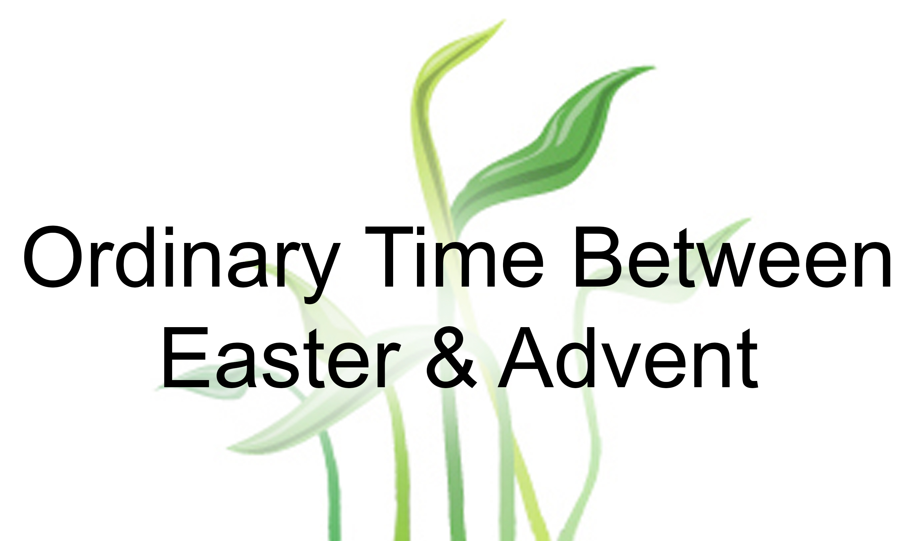 Ordinary Time Between Easter & Advent. Text with green leaves.