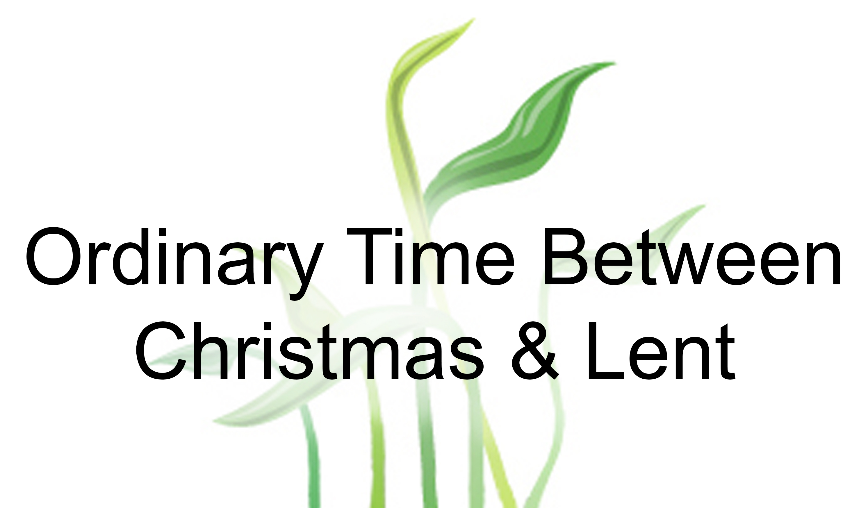 Ordinary Time Between Christmas & Lent with a green plant illustration.