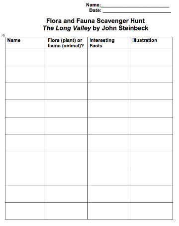 Flora and Fauna Scavenger Hunt worksheet with blank fields for name, description, habitat, and sketch.