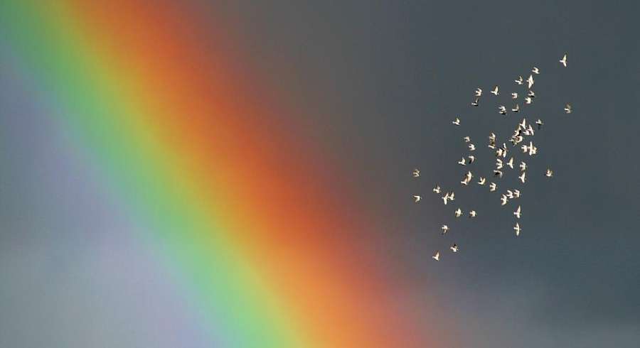 A rainbow with a cluster of light reflections on the right.