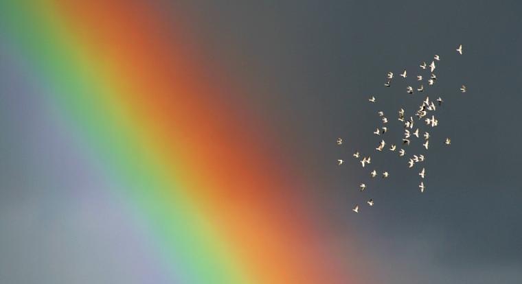 A rainbow with a cluster of light reflections on the right.