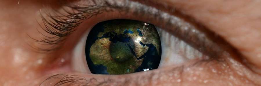 Close-up of a human eye with visible eyebrow and eyelashes.